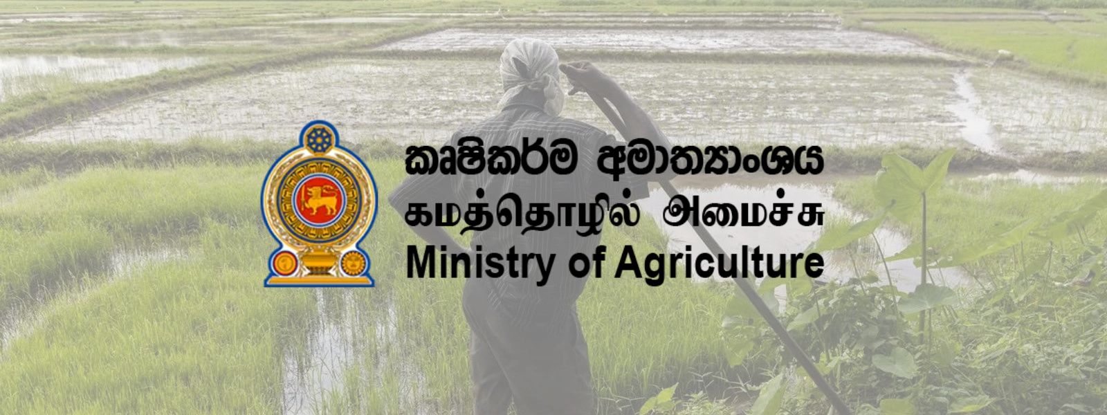 Farmers Compensated for Crop Damage Amid El Niño